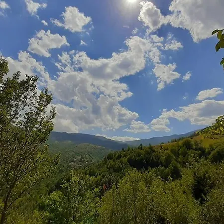 La Casetta Nel Bosco Piano Fiumato